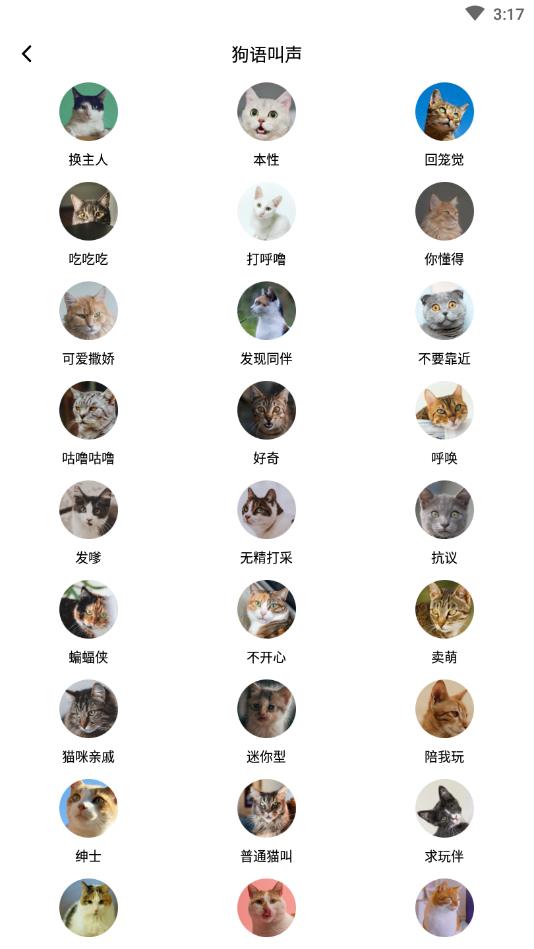 爱宠猫语翻译器