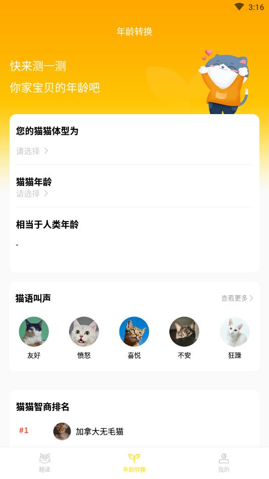 爱宠猫语翻译器