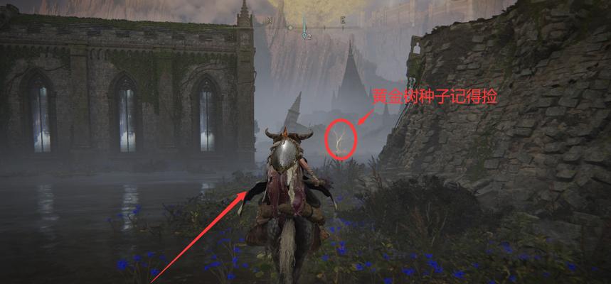 探秘艾尔登法环中的龙之所在（寻龙奇遇记，一探龙珠真相）