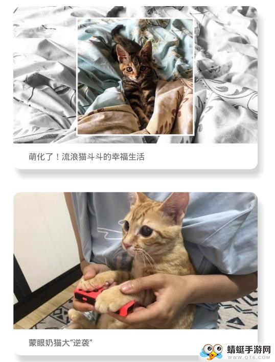 我要猫软件