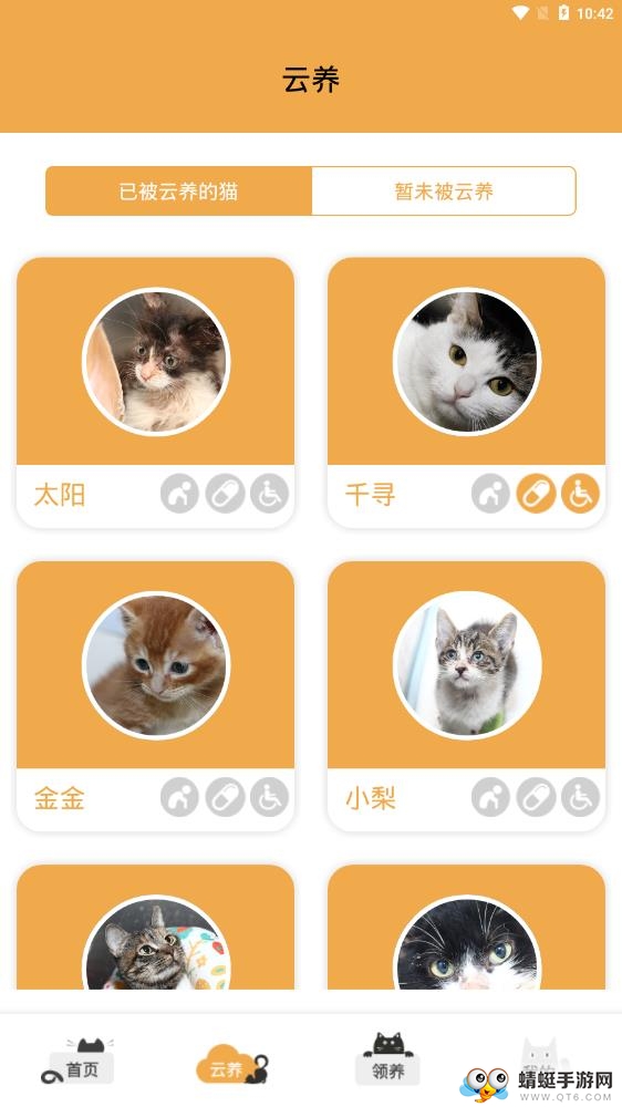 我要猫