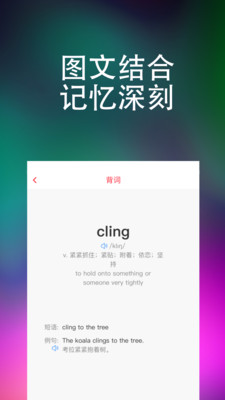 大词王