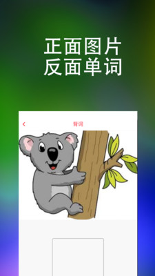 大词王