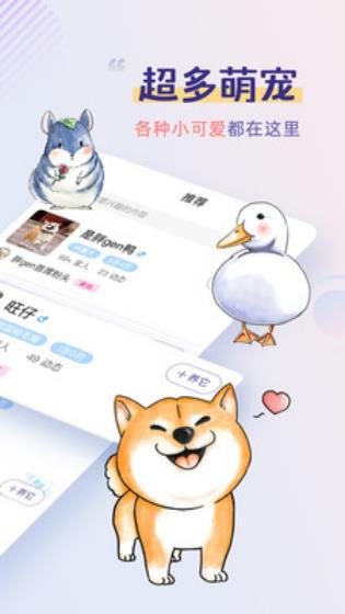 半侣云养宠
