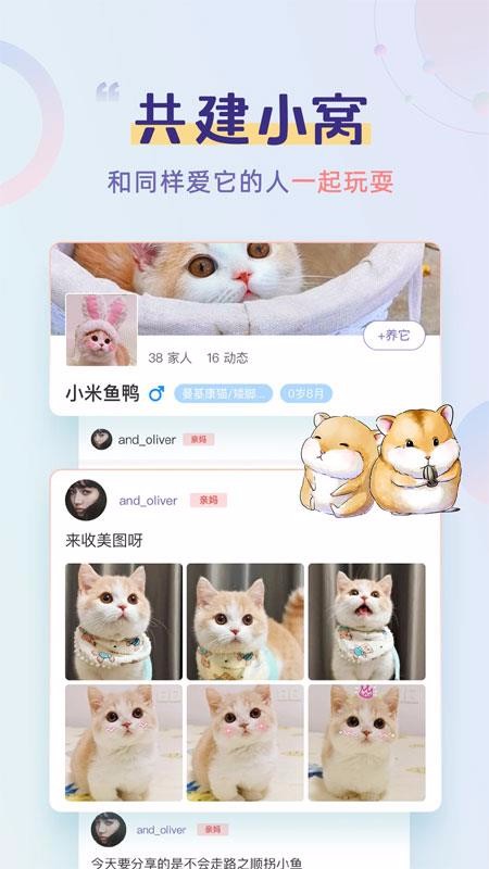 半侣云养宠2024安卓版下载