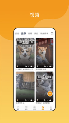 养宠无忧