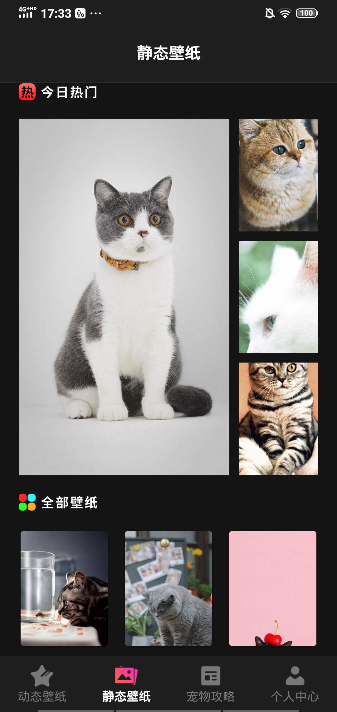 喵喵之家