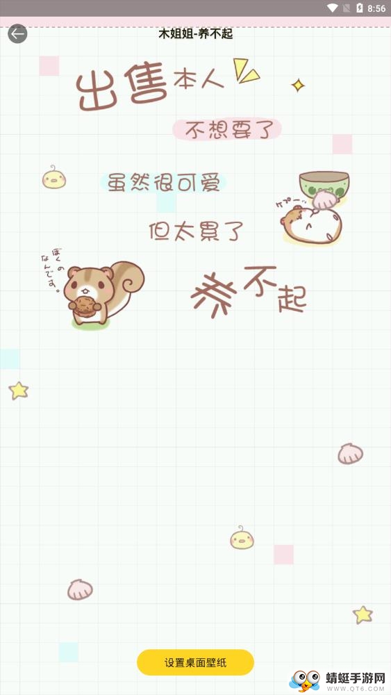 抖猫视频桌面app