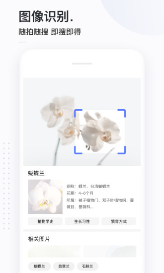 简单搜索永无广告app