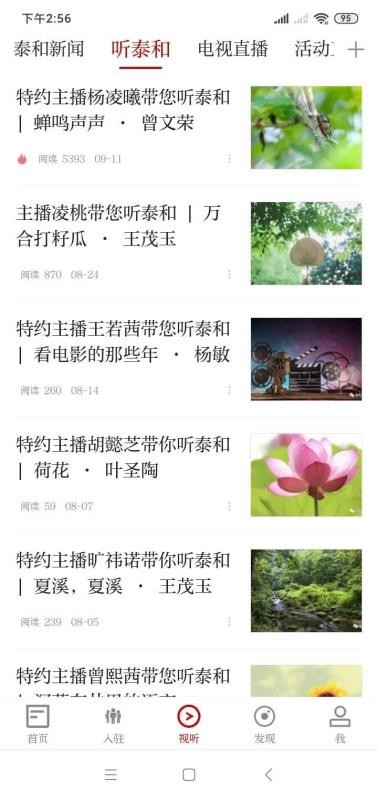 泰和在线下载安卓版
