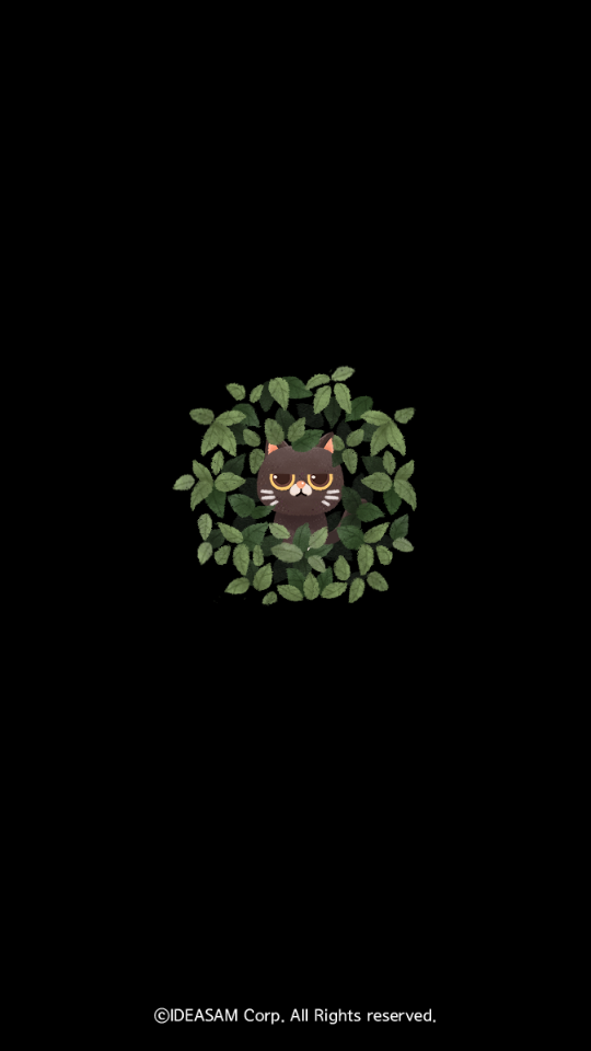 猫咪的秘密森林