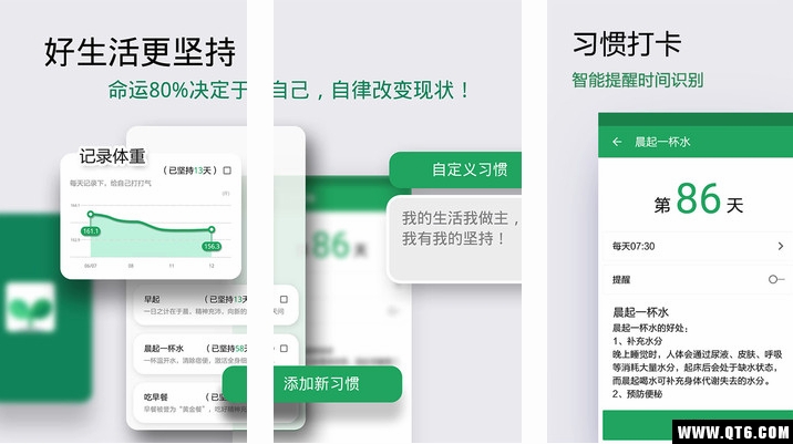 种子习惯打卡