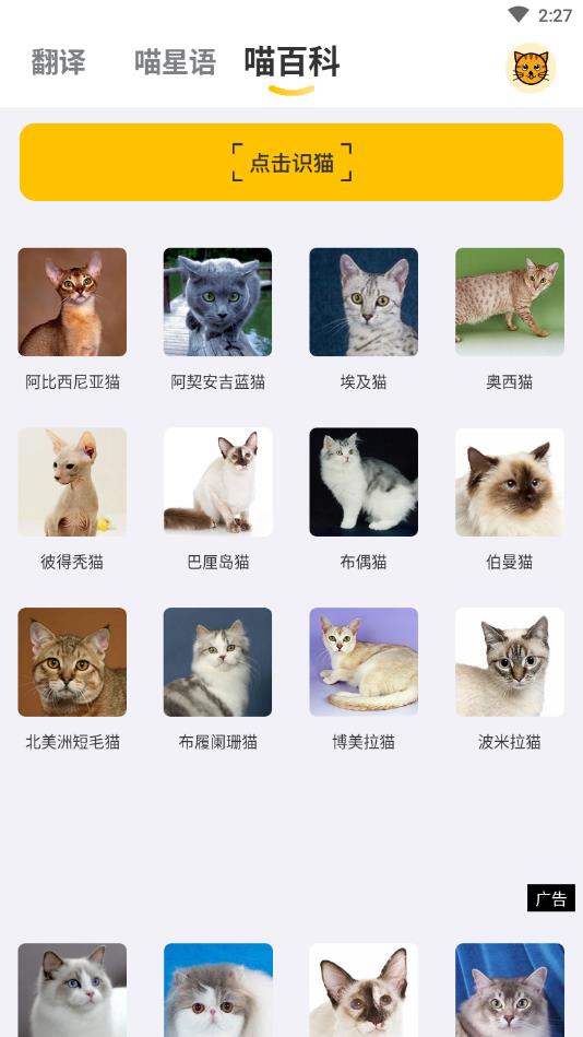 猫语翻译大全官方版