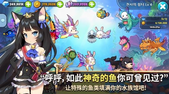 天使之鱼New