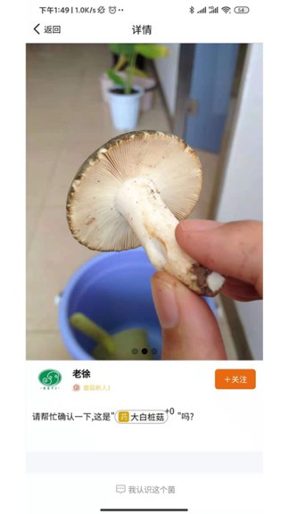 菌窝子软件