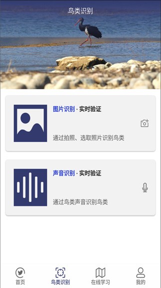 图音识鸟app