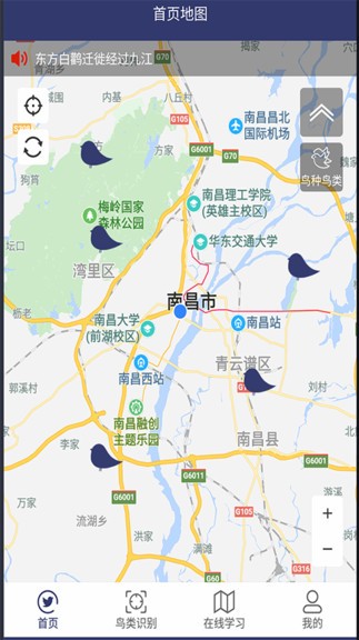 图音识鸟app