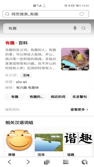 有趣浏览器软件