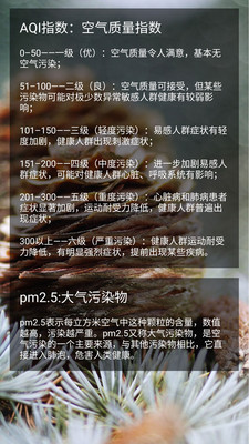 桌面天气预报