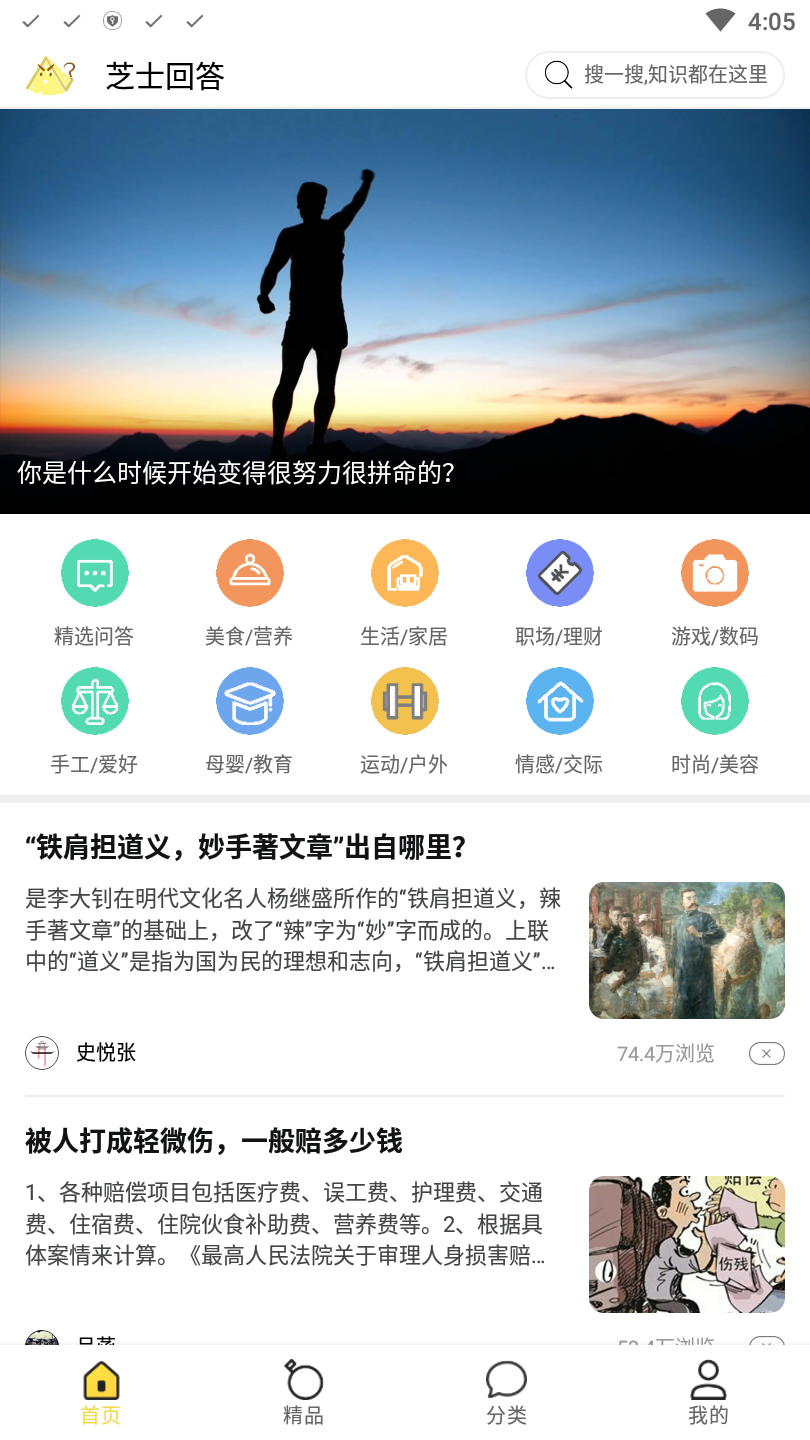 芝士回答