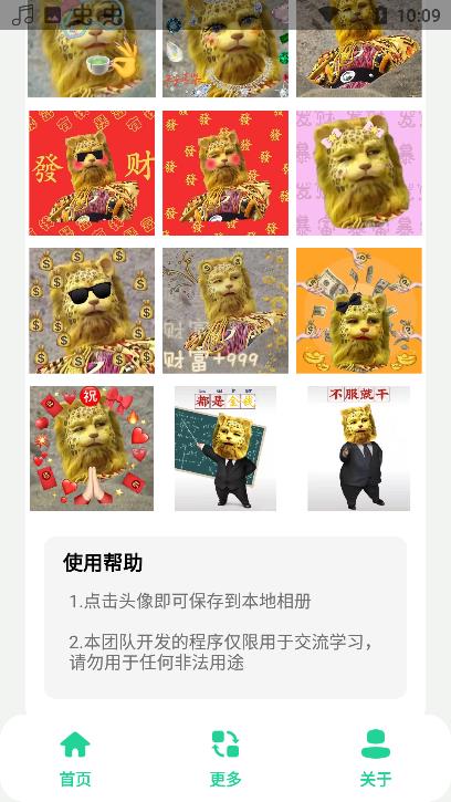 金钱豹头像