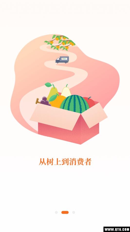 新仙C果