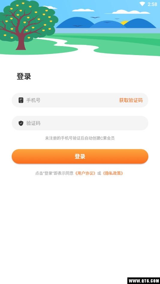 新仙C果