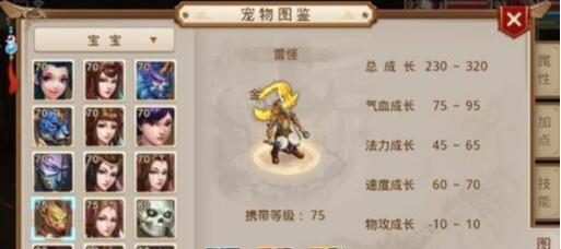 问道80级怎么玩？80级角色的升级和装备选择建议是什么？