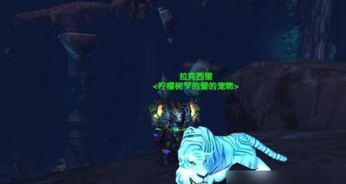 魔兽世界猎人如何喂养宝宝？有哪些注意事项？