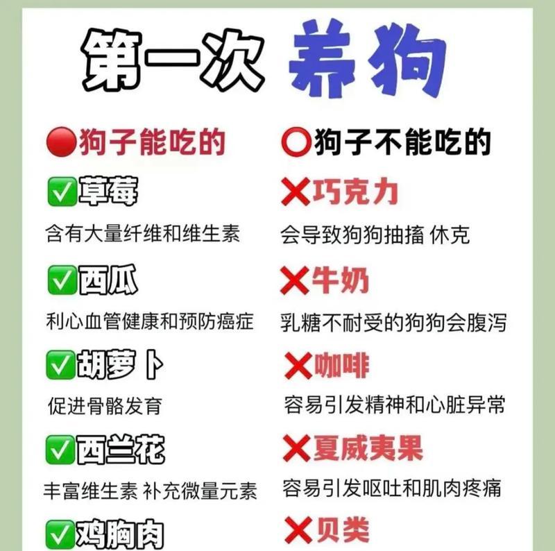 迷你世界中如何正确饲养狗狗？养狗有哪些注意事项？