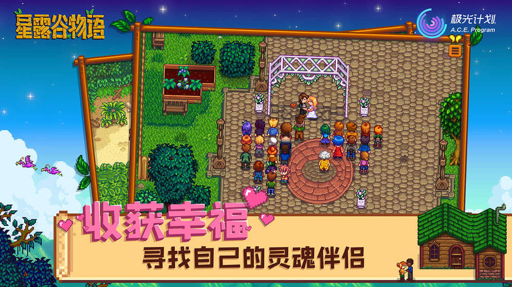 星露谷手机版