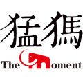 猛犸新闻app下载安卓版