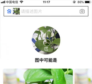 ba5d556018c643e9bae8dd67deaf6ab8.jpg