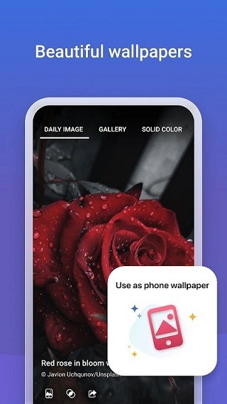 微软必应app2024最新版