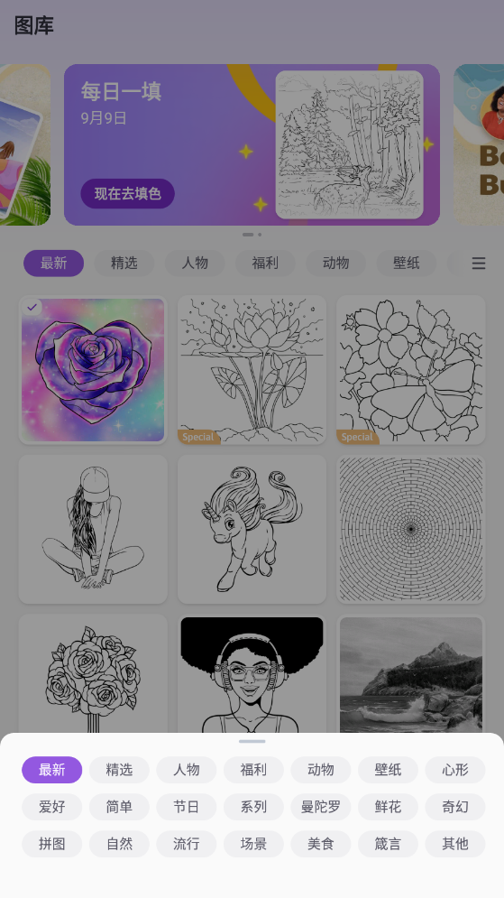 数字填色