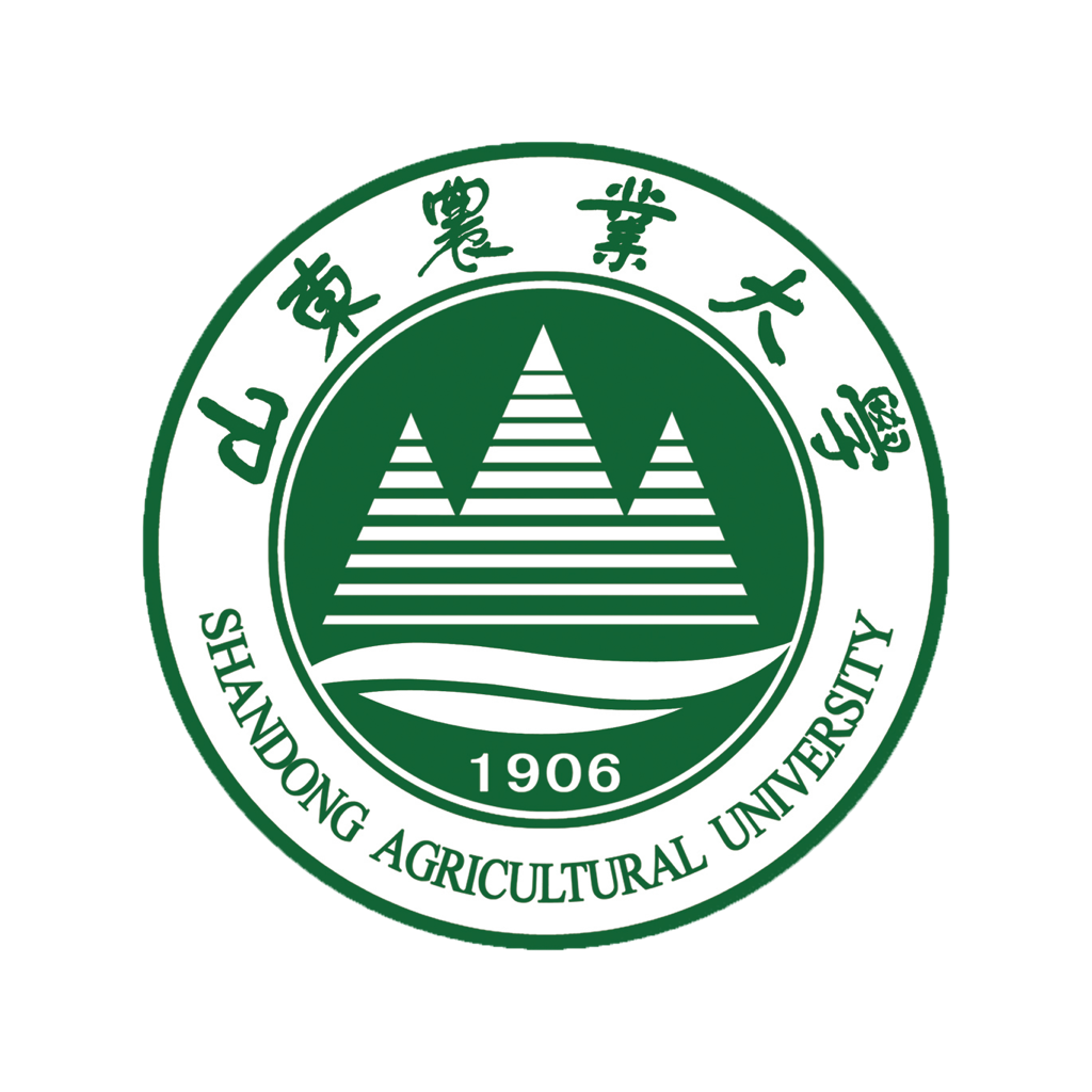 山农e卡通下载2025版本