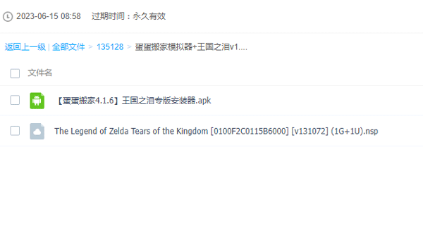 塞尔达传说王国之泪