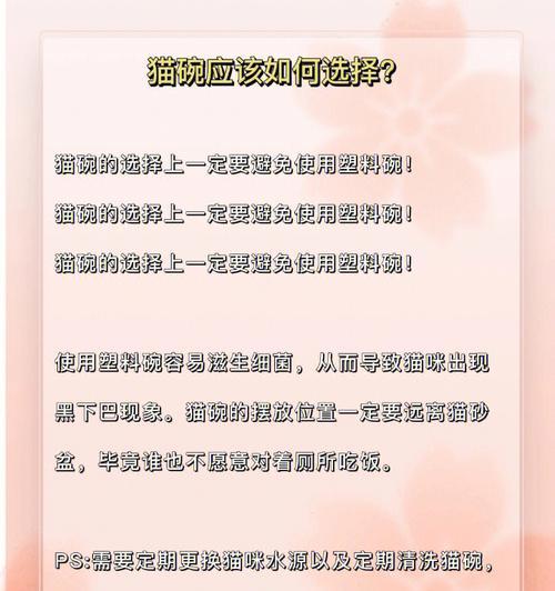 小森生活养猫攻略（打造幸福的猫咪生活）