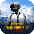 PUBG地铁逃生国际服安卓版下载安装