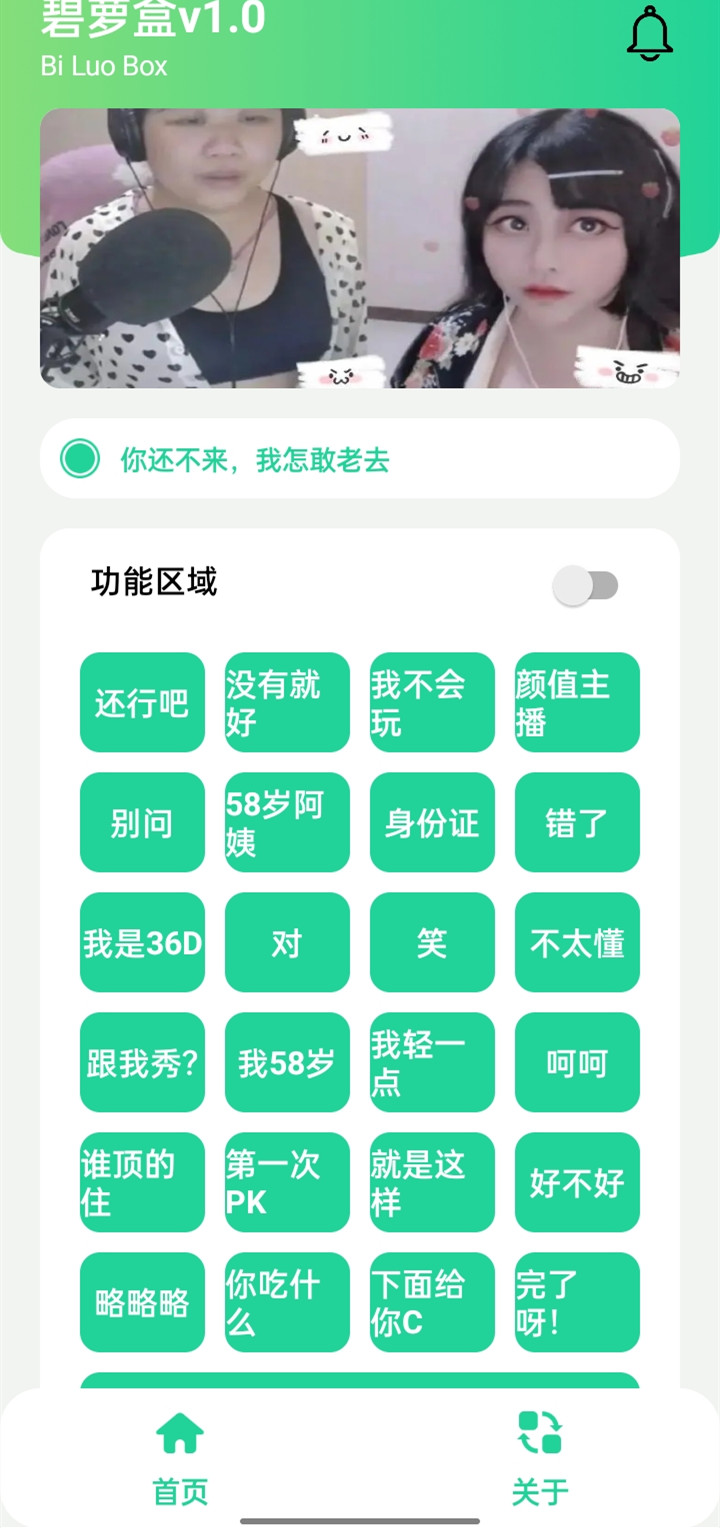 碧萝盒