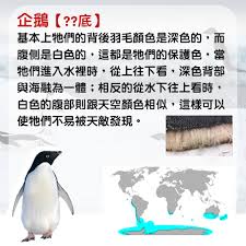 208809-20250709134402686e01a21f4fc.jpg