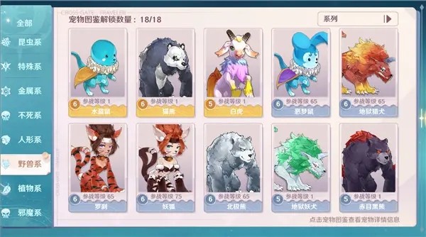 魔力宝贝新世界