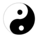 爱八字安卓下载最新版