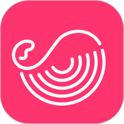 灰豚数据下载安装最新版