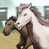 赛马也疯狂2025安卓版下载
