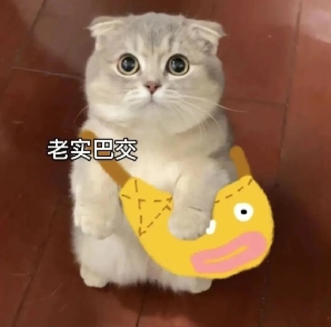 关系计算器下载最新版