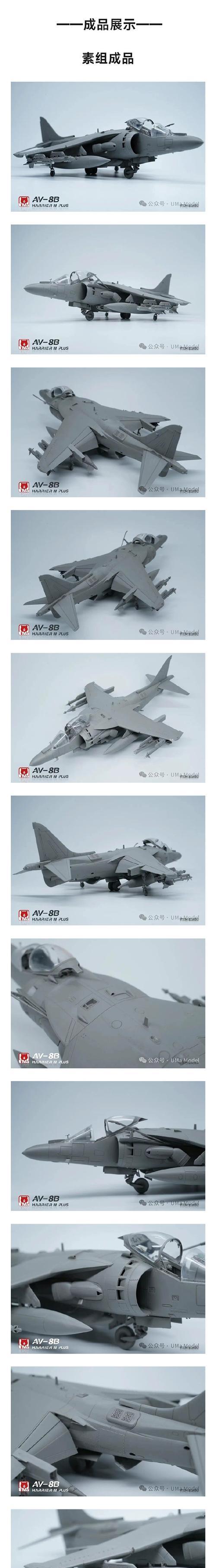 战争雷霆中鹞鹰的使用技巧有哪些？如何发挥最大效能？