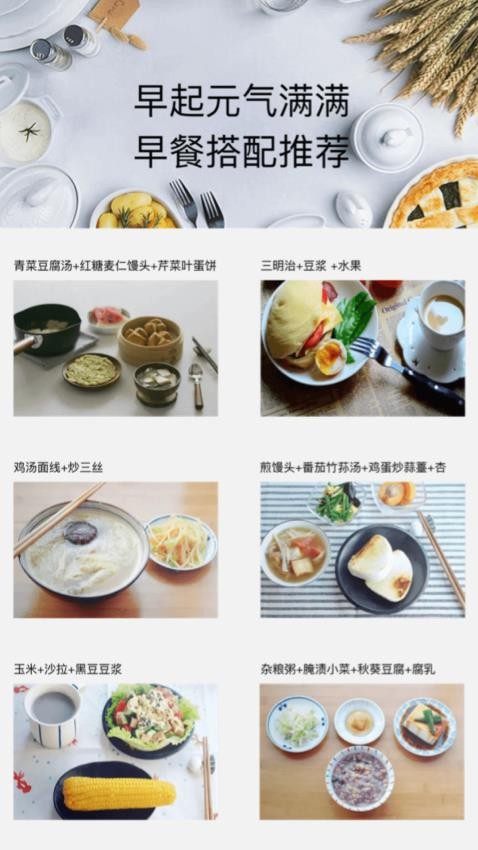 晨光测速大师官方版