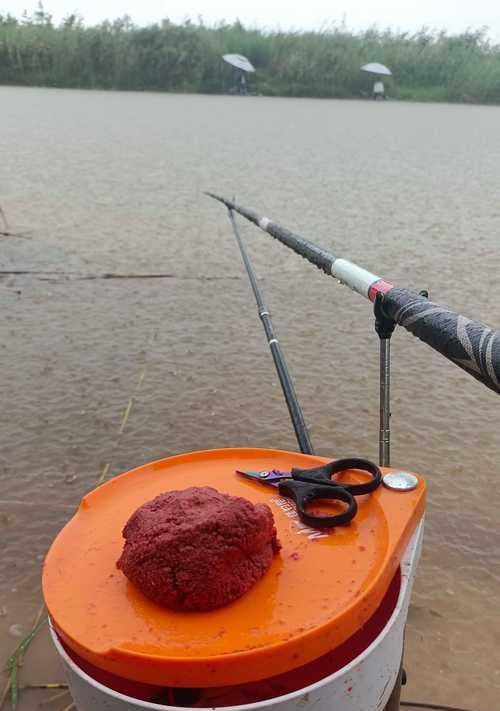 御龙在天钓鱼快速升级的方法是什么？有哪些技巧？