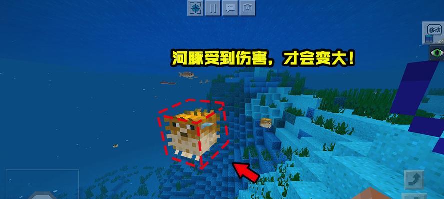《我的世界河豚的神奇作用揭秘》（探索河豚在游戏中的多重功效）